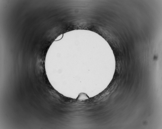 X0000103411010200810241203