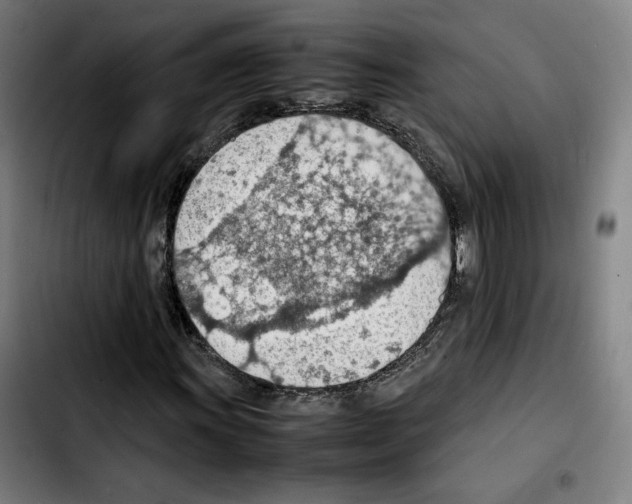 X0000103411011200810241203