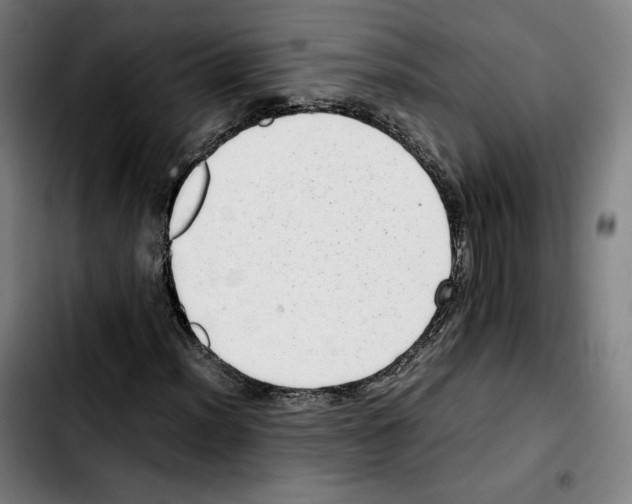 X0000103411012200810241203