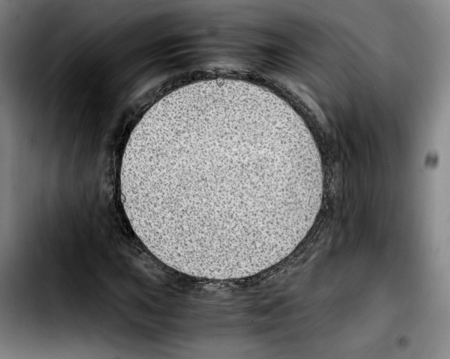 X0000103411015200810241203