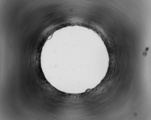 X0000103411016200810241203