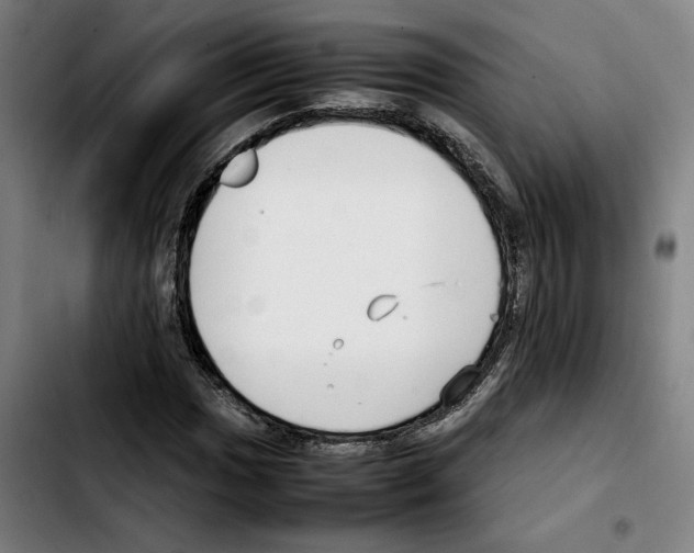 X0000103411017200810241203