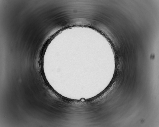 X0000103411018200810241203