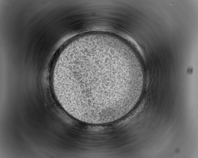 X0000103411019200810241203