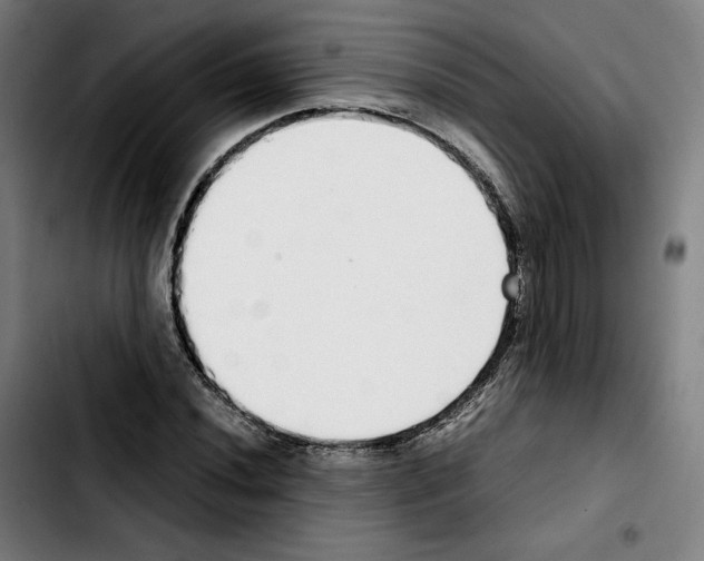 X0000103411020200810241203