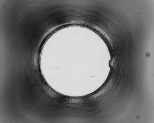 X0000103411021200810241204