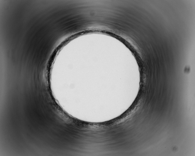 X0000103411022200810241204