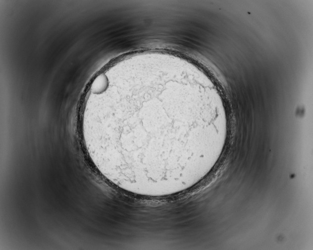 X0000103411023200810241204