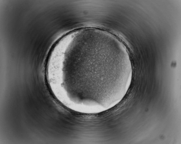 X0000103411024200810241204