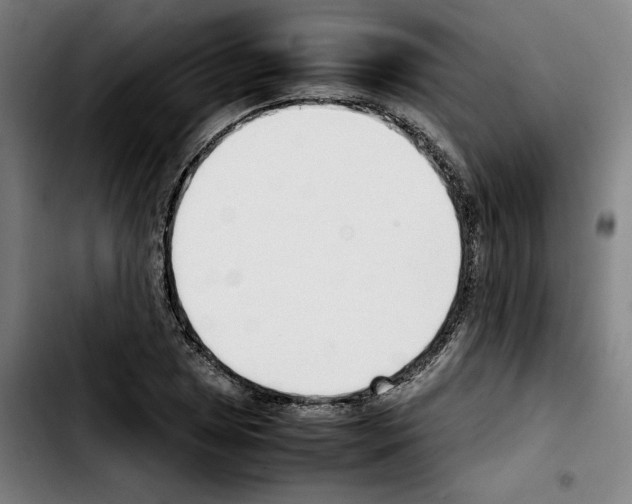 X0000103411025200810241204