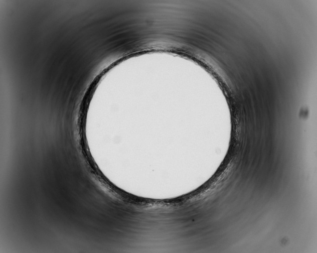 X0000103411026200810241204