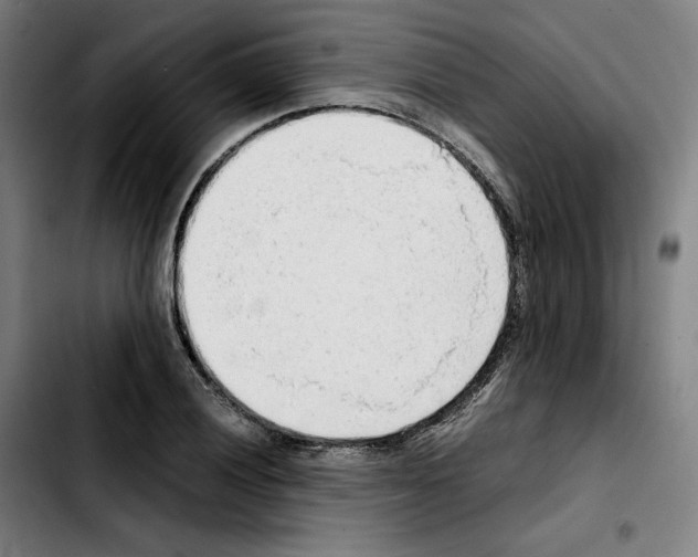 X0000103411028200810241204