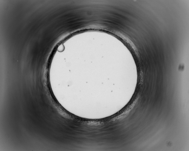 X0000103411029200810241204