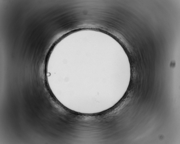 X0000103411030200810241204