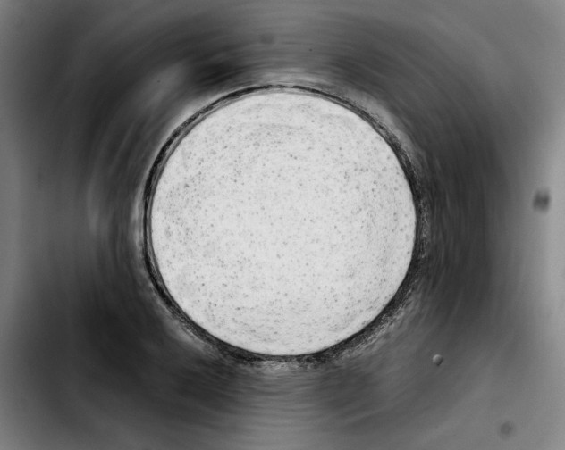 X0000103411032200810241204