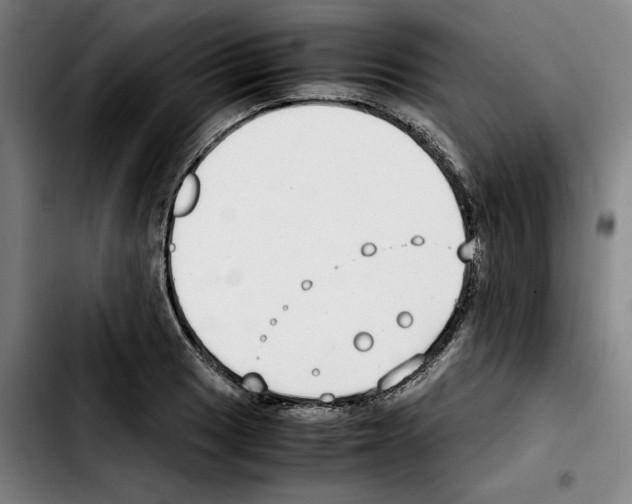 X0000103411033200810241204