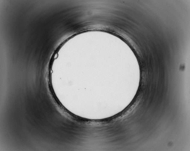 X0000103411034200810241204