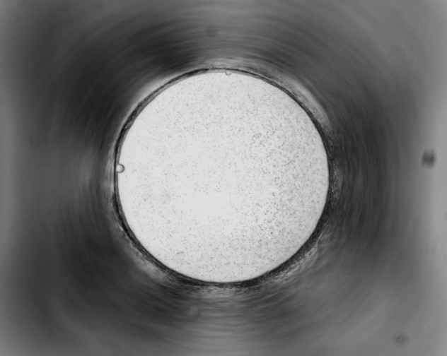 X0000103411036200810241204