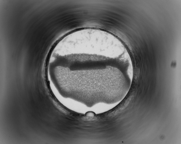 X0000103411037200810241204