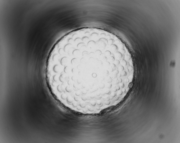 X0000103411040200810241204