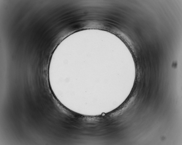 X0000103411041200810241204