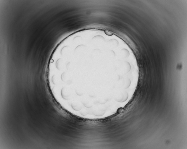 X0000103411044200810241204