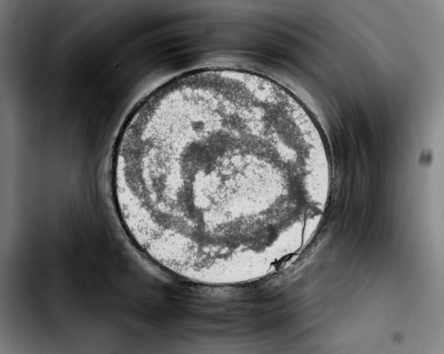 X0000103411045200810241204