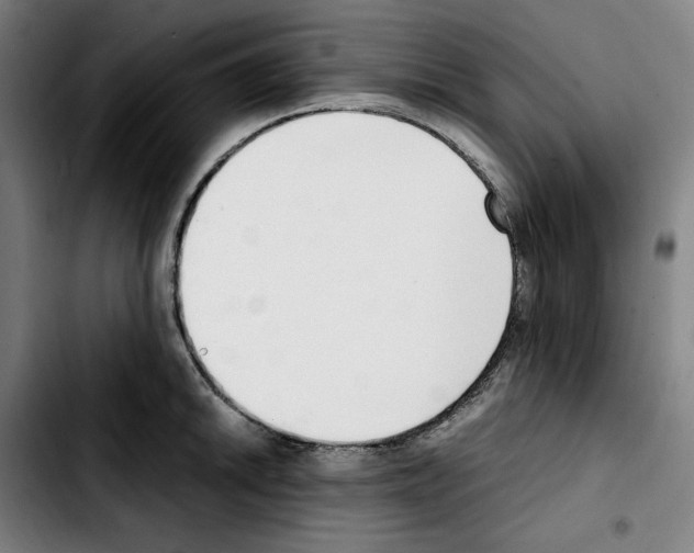 X0000103411046200810241204