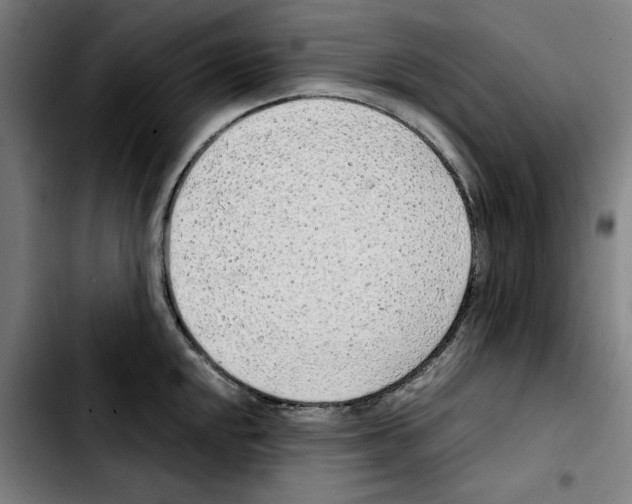 X0000103411048200810241204