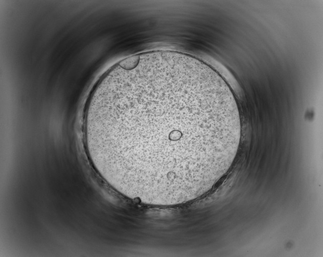 X0000103411051200810241204