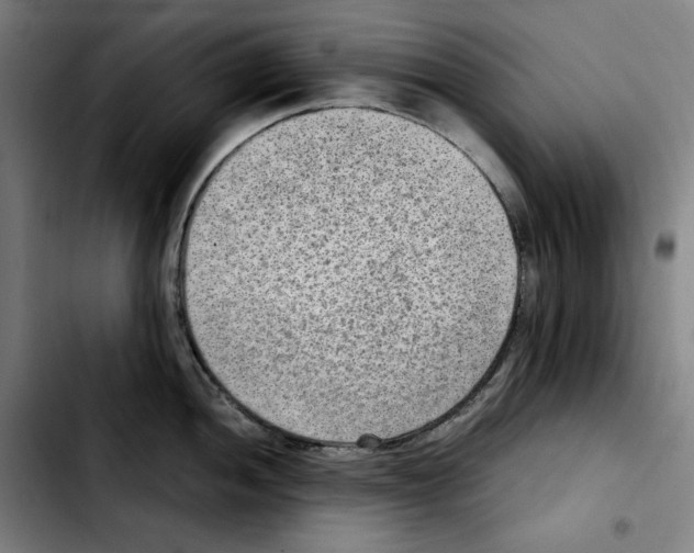 X0000103411052200810241204