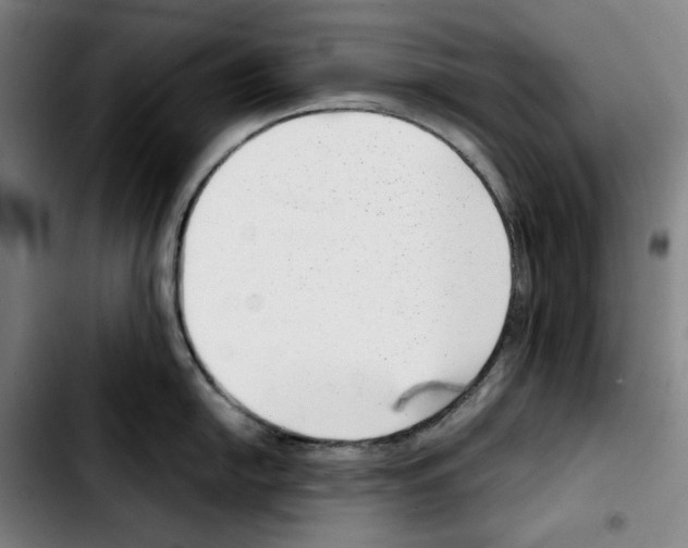 X0000103411054200810241204