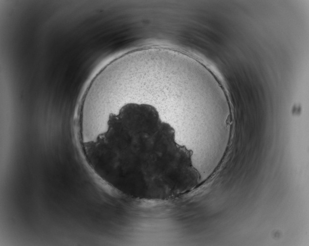 X0000103411056200810241204