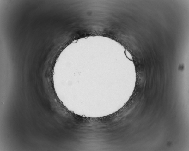 X0000103411057200810241203