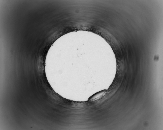 X0000103411058200810241203