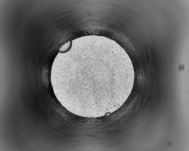 X0000103411060200810241203