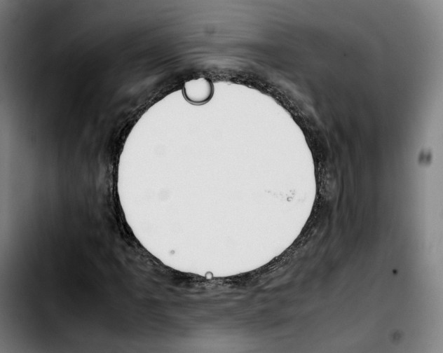 X0000103411061200810241203