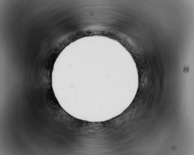 X0000103411062200810241203