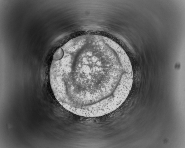 X0000103411063200810241203