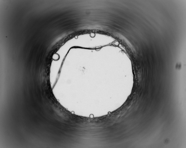 X0000103411064200810241203