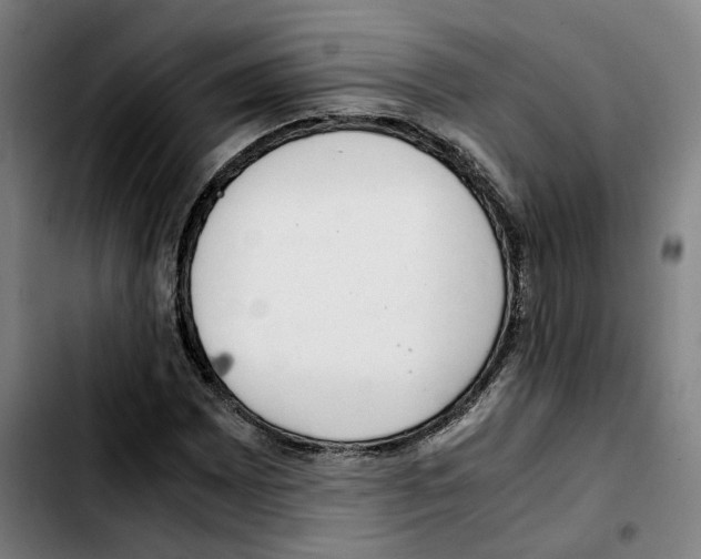 X0000103411065200810241203