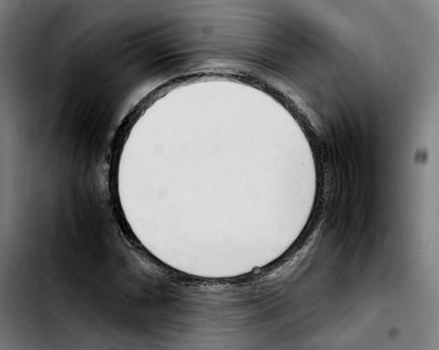 X0000103411066200810241203