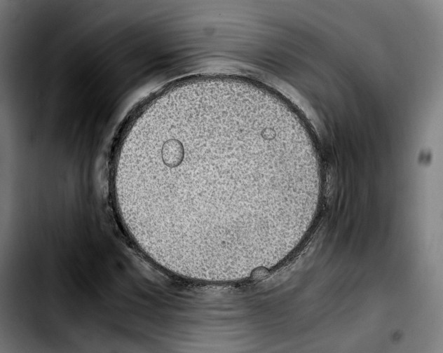 X0000103411067200810241203