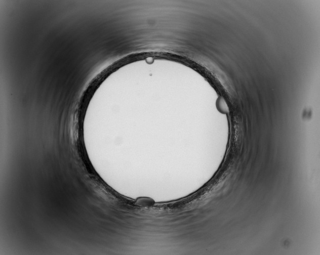 X0000103411069200810241203