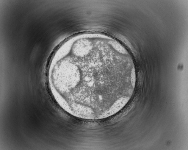 X0000103411071200810241203