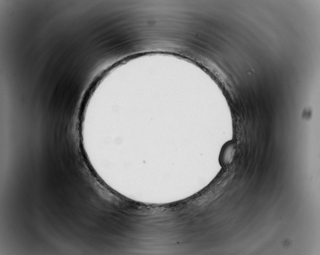 X0000103411072200810241203