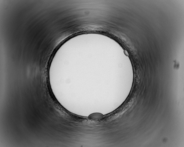 X0000103411073200810241203