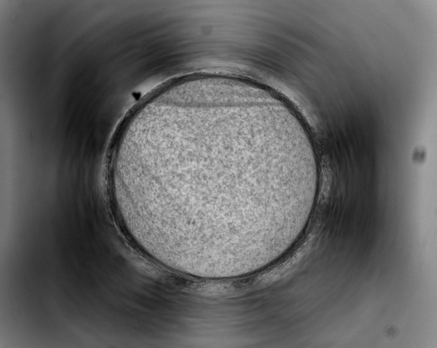 X0000103411074200810241203