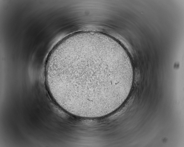 X0000103411075200810241203