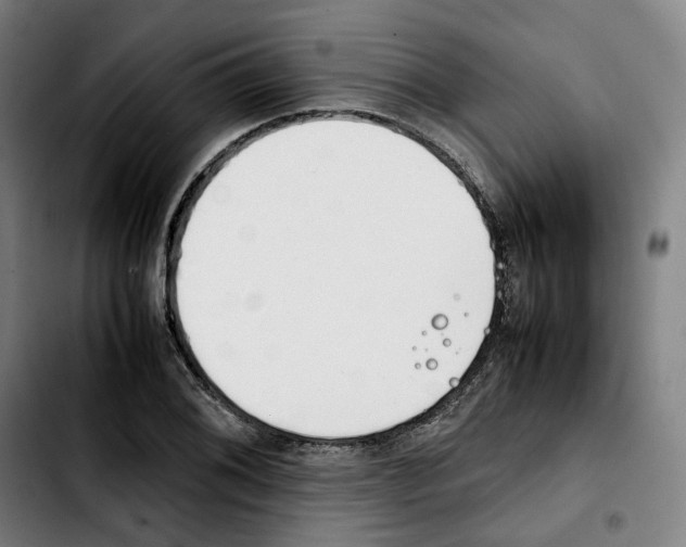 X0000103411076200810241203